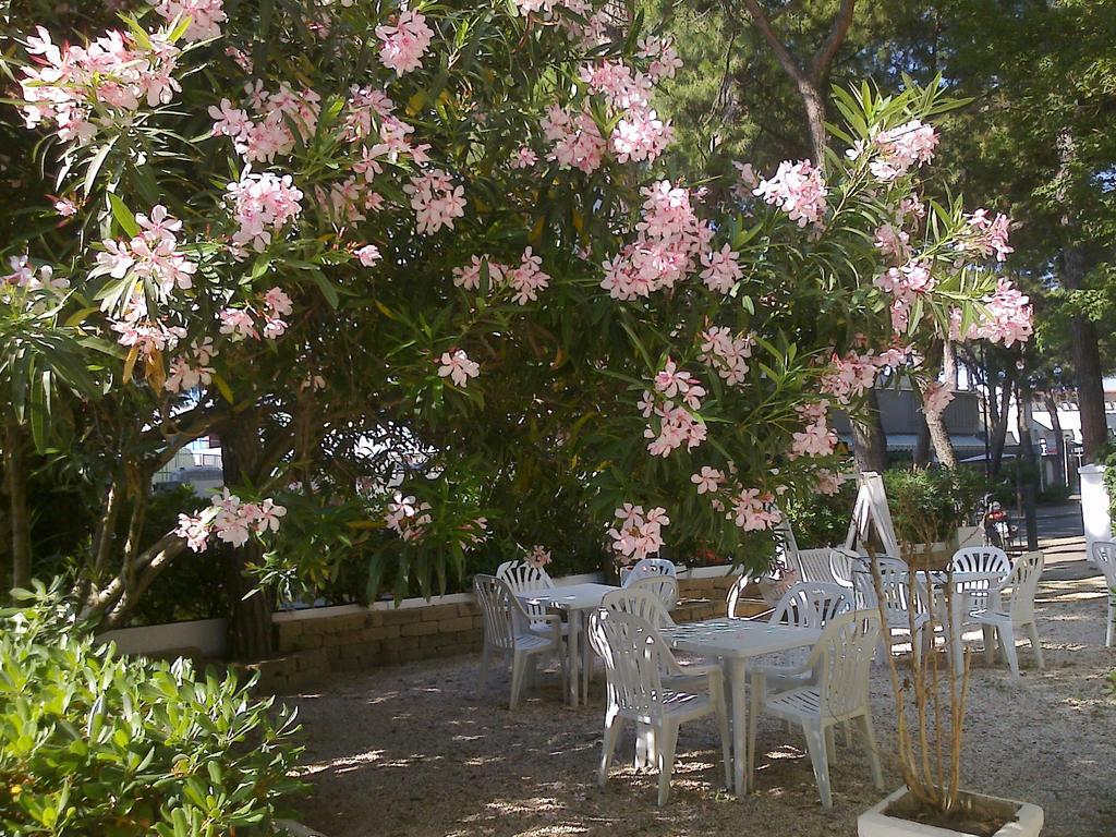 Hotel Augustus ميلانو ماريتيما المظهر الخارجي الصورة